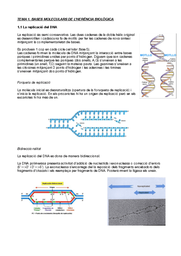 Miniatura del documento Tema-1-fins-tema-1.2.pdf