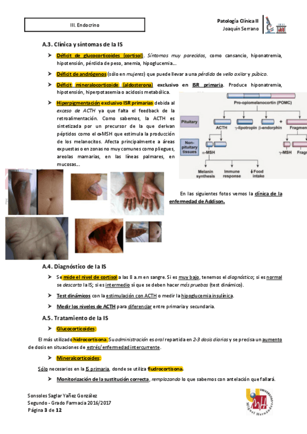 Miniatura del documento Comis-pato-12.pdf
