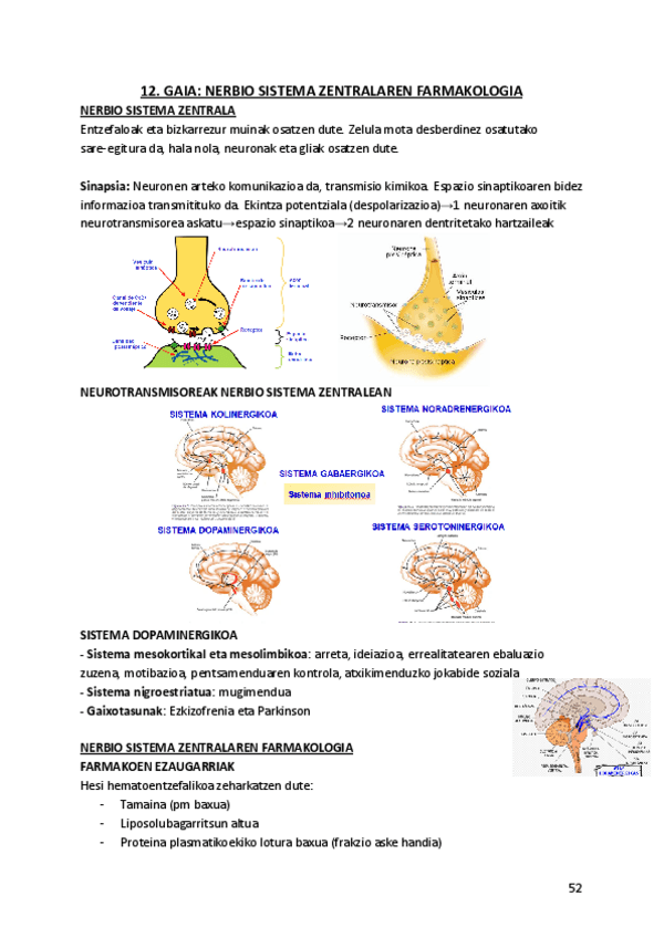 Miniatura del documento 12.-NERBIO-SISTEMA-ZENTRALAREN-FARMAKOLOGIA.pdf