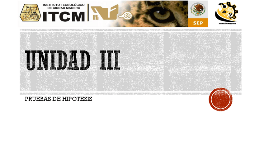 Miniatura del documento Pruebas-de-hipotesis-Unidad-3.pdf