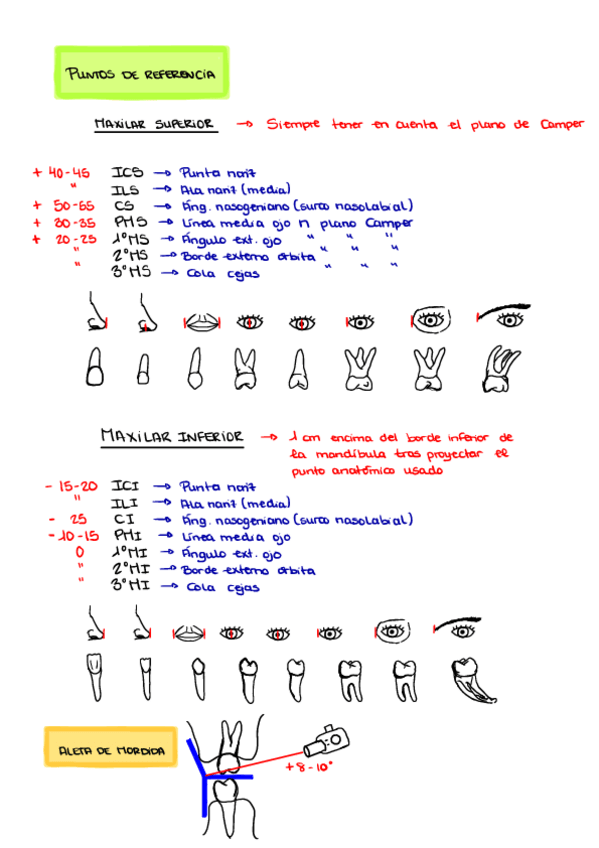 Miniatura del documento Conductos-y-angulaciones.pdf