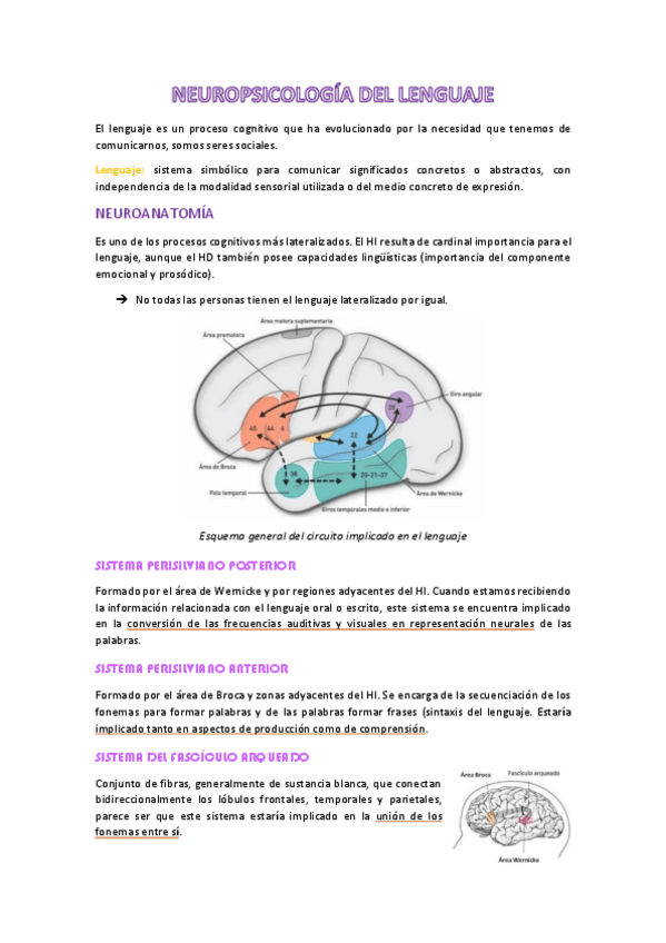 Miniatura del documento apuntes-t10-eval.neuro.pdf