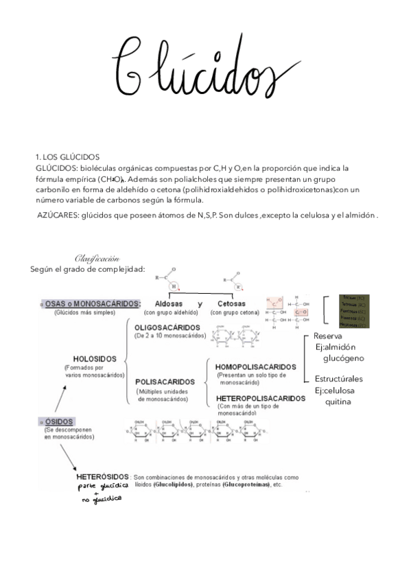 Miniatura del documento TEMA-2-GLUCIDOS.pdf