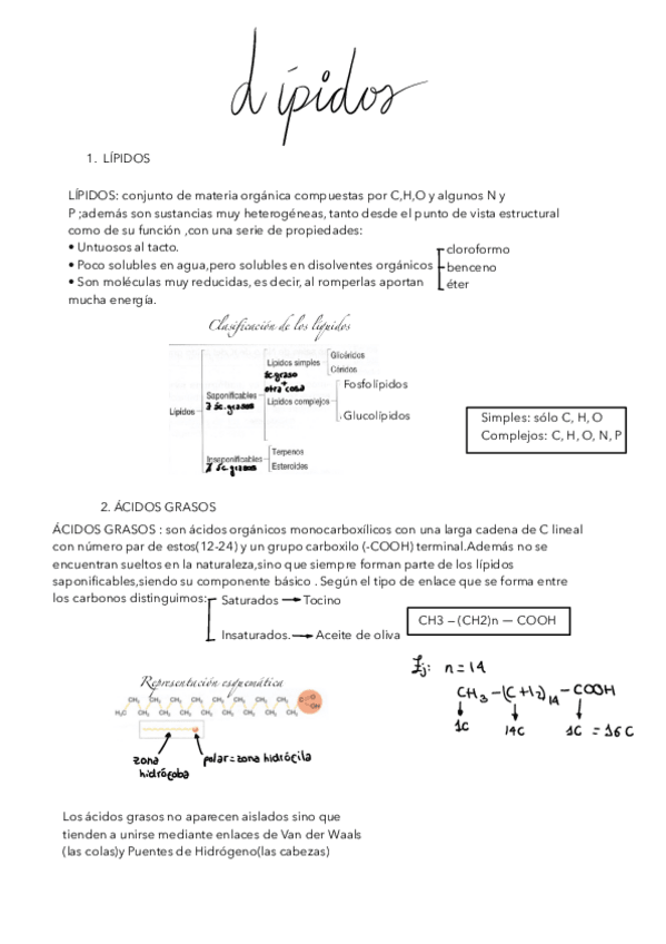 Miniatura del documento TEMA-3-LIPIDOS.pdf