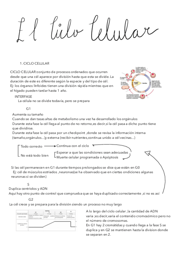 Miniatura del documento TEMA-10-CICLO-CEL.pdf
