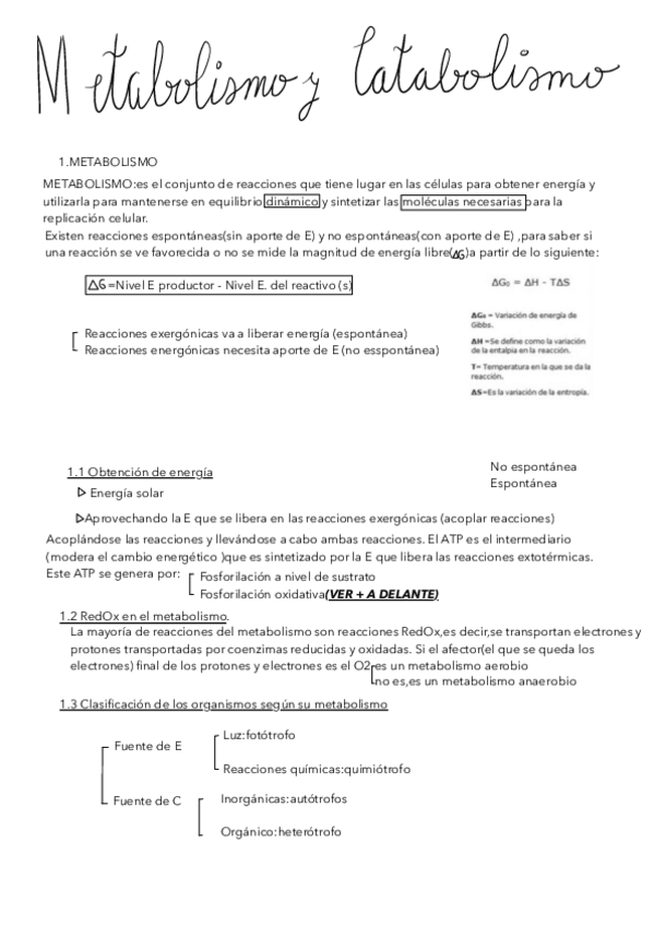 Miniatura del documento TEMA-11-METABOLISMO-Y-CATABOLISMO.pdf