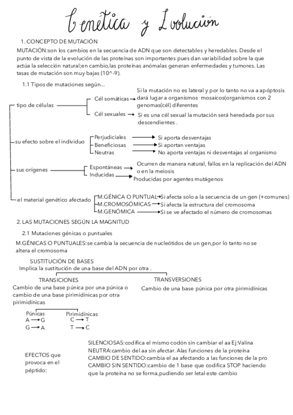 Miniatura del documento TEMA15--GENETICA-Y-EVOLUCION.pdf