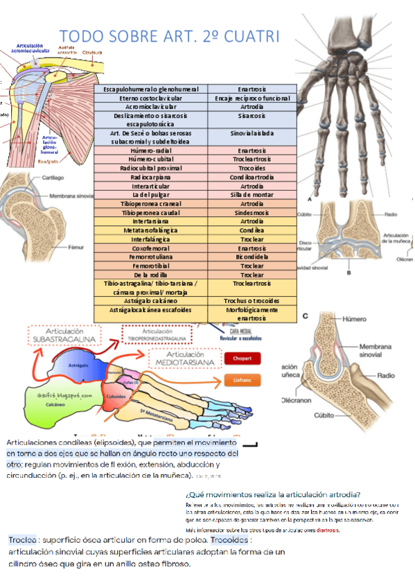 Miniatura del documento las-articulaciones-del-2o-cuatri.pdf