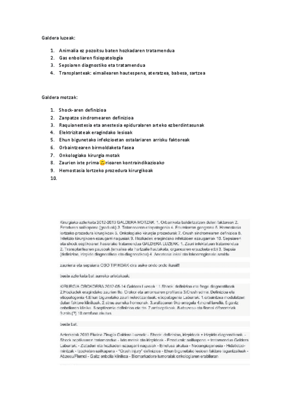 Miniatura del documento Galdera-luzeak.pdf