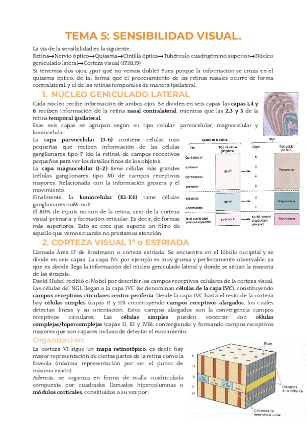 Miniatura del documento FISIO-TEMA-NARVAEZ-5-RESUMEN.pdf