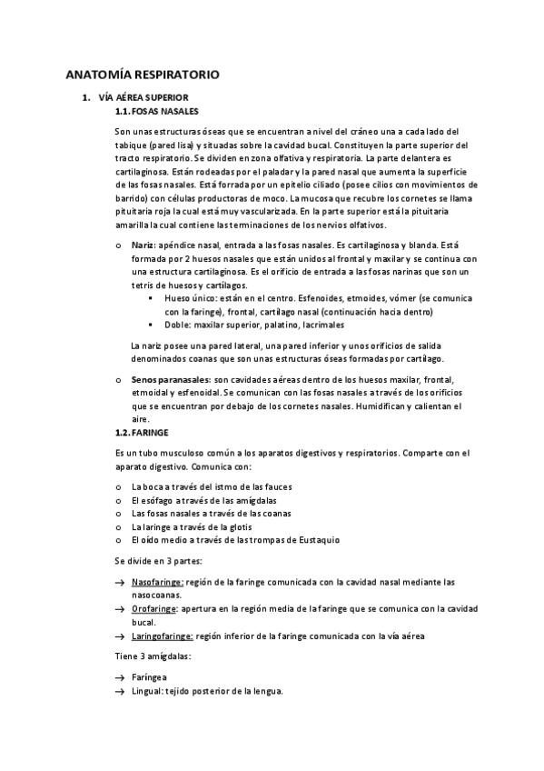 Miniatura del documento ANATOMIA-RESPIRATORIO.pdf