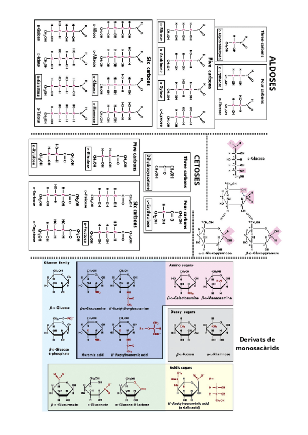 Miniatura del documento ALDOSES.pdf