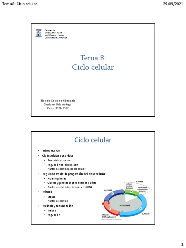 Miniatura del documento Tema-8Ciclo-celular.pdf