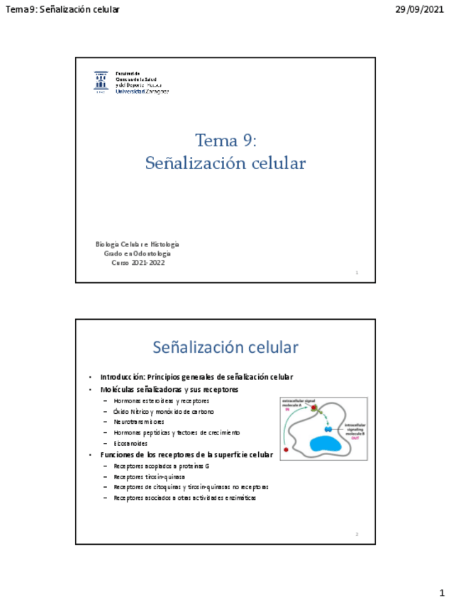 Miniatura del documento Tema-9Senalizacion-celular.pdf