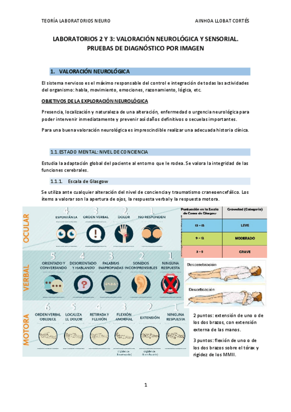Miniatura del documento TEORIA-LABORATORIOS-NEURO.pdf