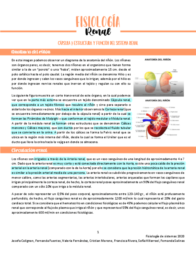Miniatura del documento Fisiologia-renal-I.pdf