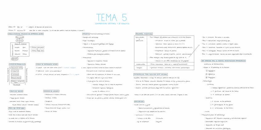 Miniatura del documento T5-LENGUA-II.pdf