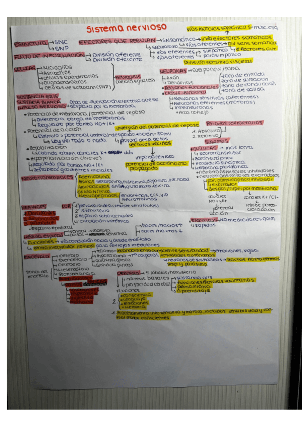 Miniatura del documento TEMA-9.-SISTEMA-NERVIOSO.pdf