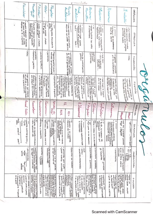 Miniatura del documento TABLA-RESUMEN-ORGANULOS.pdf