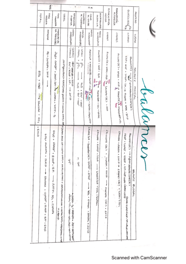 Miniatura del documento TABLA-RESUMEN-BALANCES.pdf