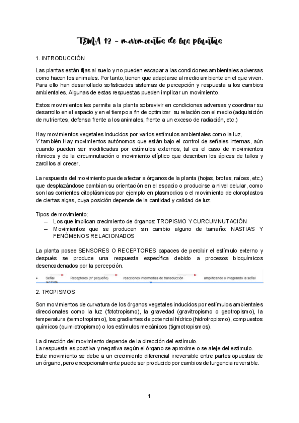 Miniatura del documento TEMA-13-VEGETAL-II.pdf