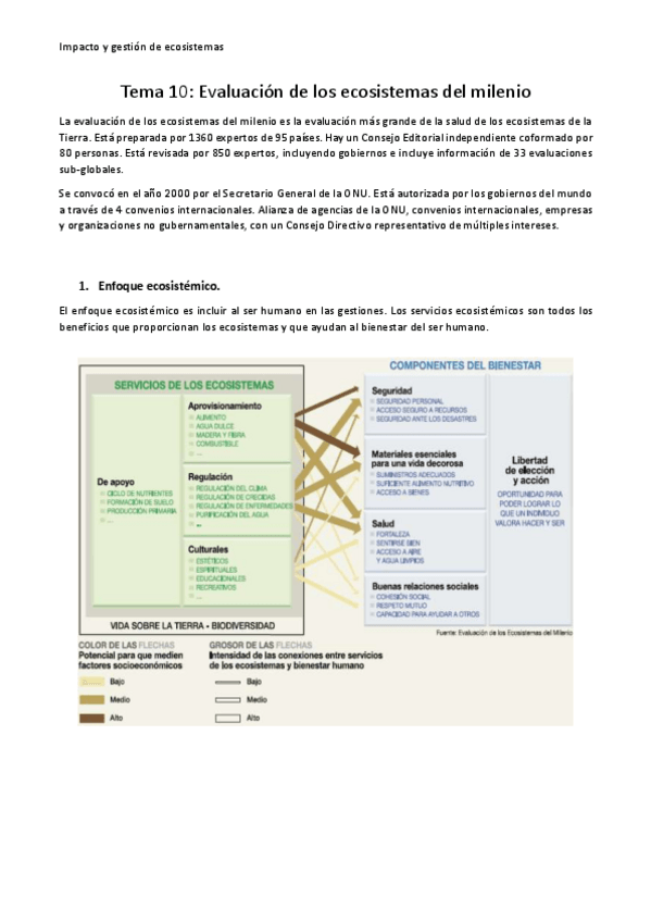 Miniatura del documento Tema-10.pdf