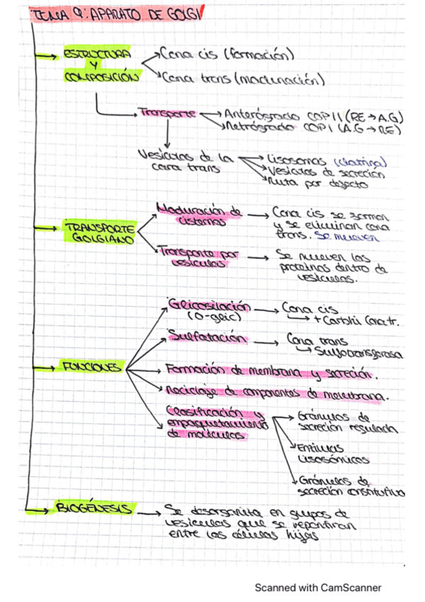 Miniatura del documento Aparato-de-Golgi.pdf