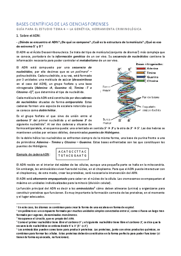 Miniatura del documento Tema 4 - Respuestas Genética.pdf