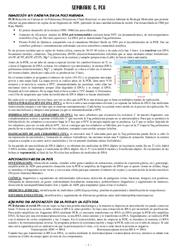 Miniatura del documento Seminario-6-Ing-genetica-PCR.pdf