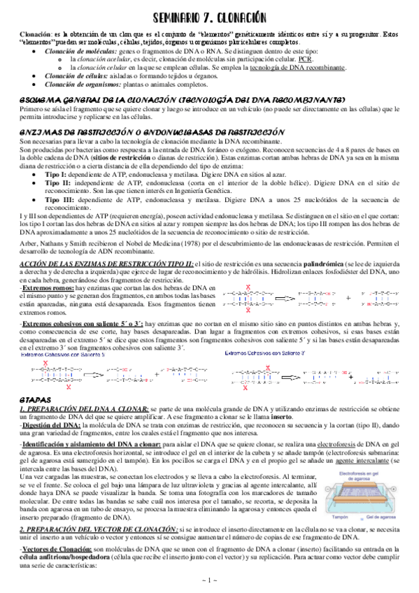 Miniatura del documento Seminario-7-Ing-genetica-Clonacion.pdf