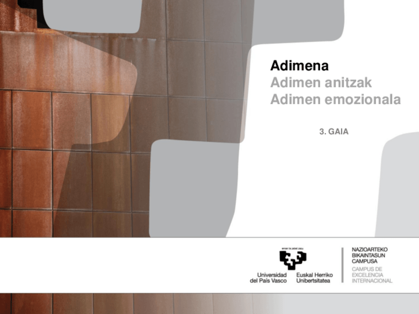 Miniatura del documento Adimena-aurkezpena.pdf