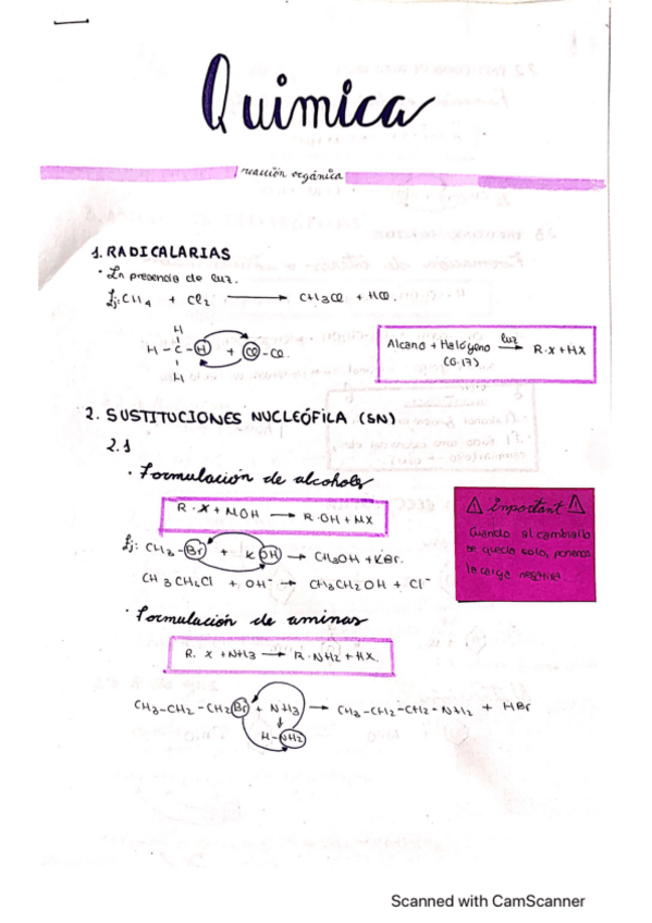 Miniatura del documento TEMA-2-FORMULACION-ORGANICA.pdf