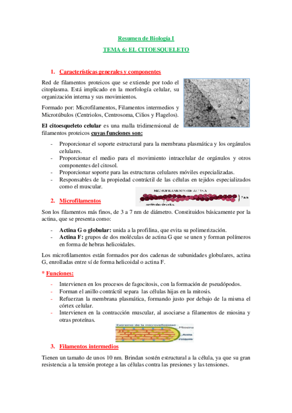 Miniatura del documento Resumen de Biología I T6.pdf