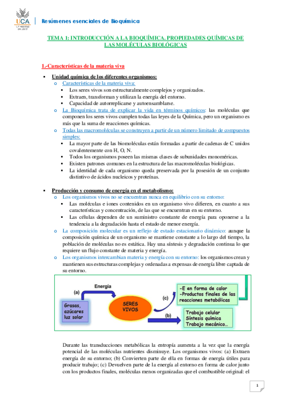 Miniatura del documento RESUMEN BIOQUÍMICA T1.pdf