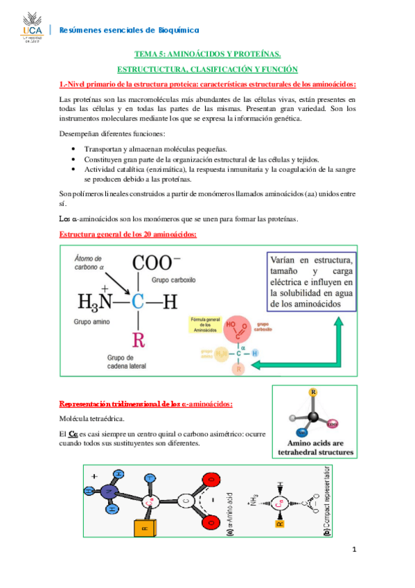 Miniatura del documento RESUMEN BIOQUÍMICA T5.pdf