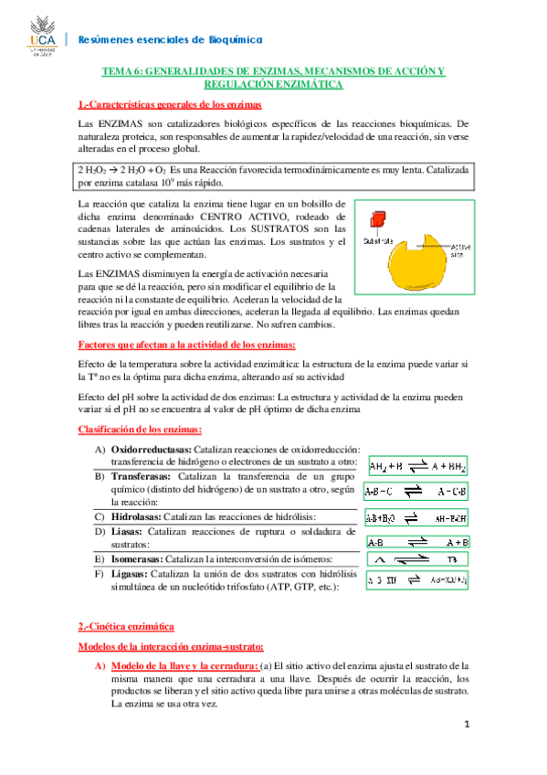 Miniatura del documento RESUMEN BIOQUÍMICA T6.pdf