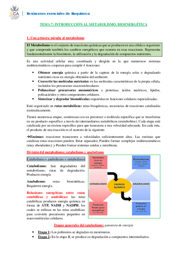 Miniatura del documento RESUMEN BIOQUÍMICA T7.pdf