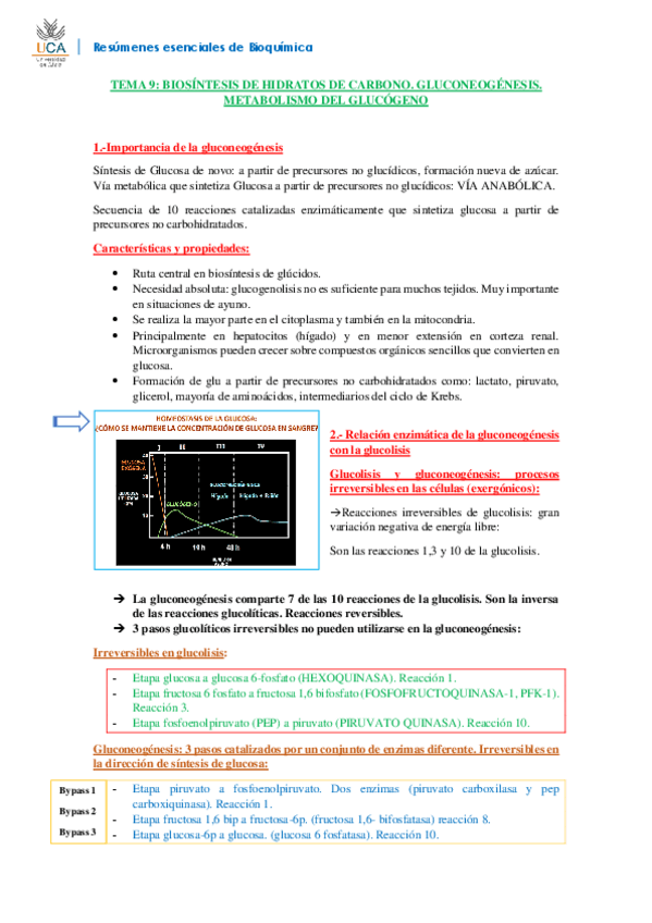 Miniatura del documento RESUMEN BIOQUÍMICA T9.pdf