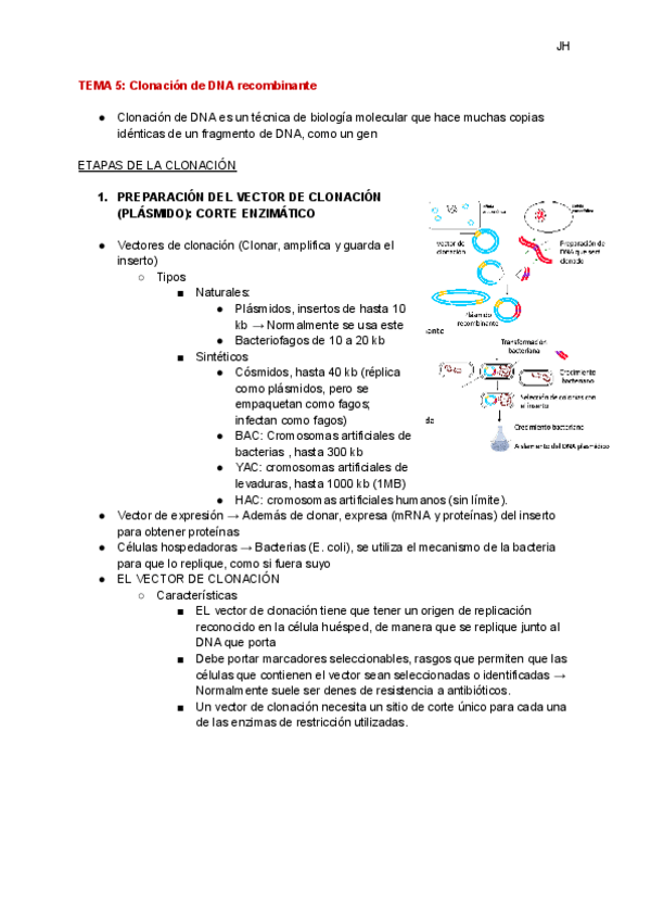 Miniatura del documento TEMA-5-Clonacion-de-DNA-recombinante.pdf