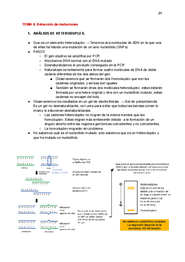 Miniatura del documento TEMA-4-Deteccion-de-mutaciones.pdf