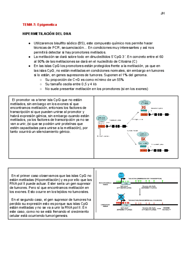Miniatura del documento TEMA-7-Epigenetica.pdf