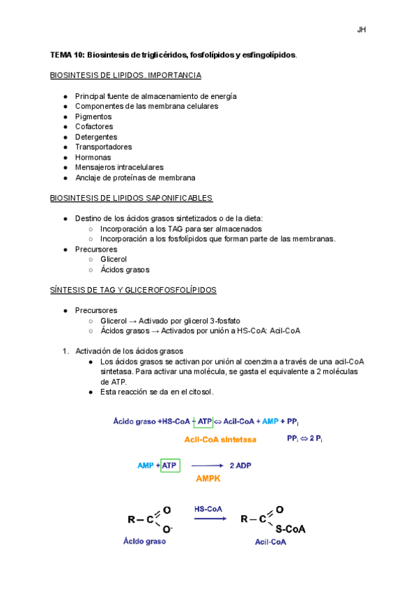 Miniatura del documento TEMA-10-Biosintesis-de-trigliceridos-fosfolipidos-y-esfingolipidos.pdf