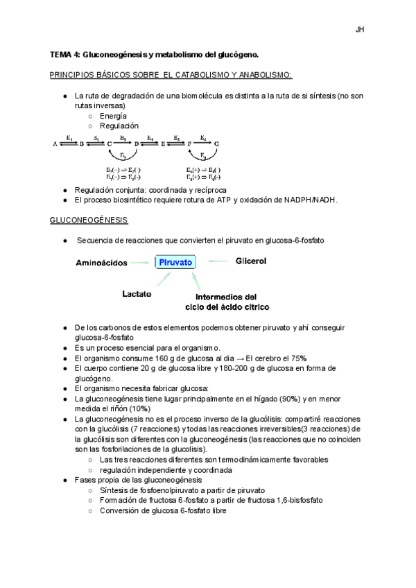 Miniatura del documento TEMA-4-Gluconeogenesis-y-metabolismo-del-glucogeno.pdf
