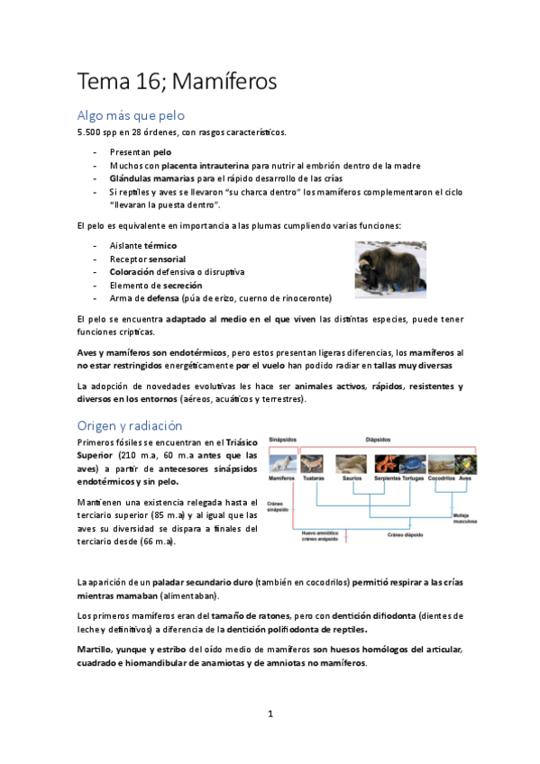 Miniatura del documento Tema-16-Mamiferos.pdf