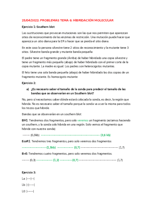 Miniatura del documento PROBLEMAS-RESUELTO-TEMA-6.pdf