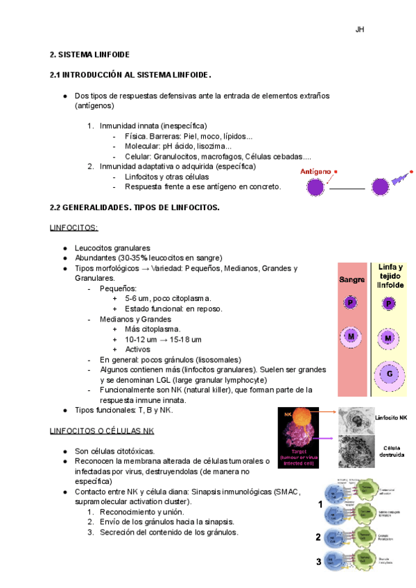 Miniatura del documento SISTEMA-LINFOIDE..pdf