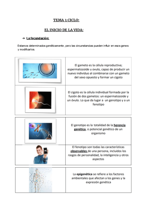 Miniatura del documento TEMA-6-CICLO.pdf