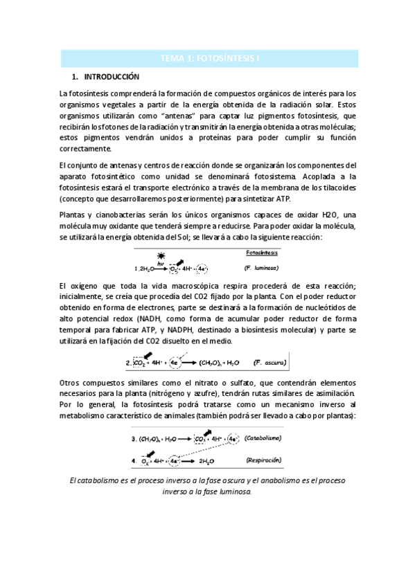 Miniatura del documento TEMA-1.pdf