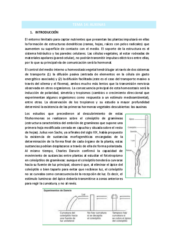 Miniatura del documento TEMA-14.pdf