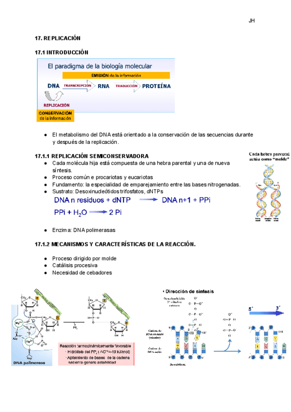 Miniatura del documento 17.-REPLICACION..pdf